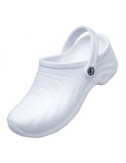 Sabot